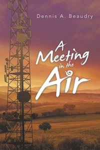 bokomslag Meeting in the Air