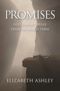 bokomslag Promises