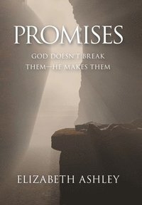 bokomslag Promises