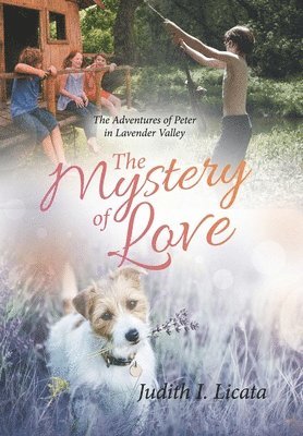The Mystery of Love 1
