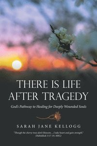 bokomslag There Is Life After Tragedy: God's Pathway to Healing for Deeply Wounded Souls