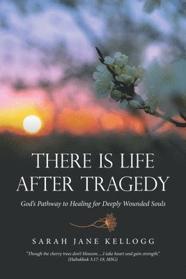 bokomslag There Is Life After Tragedy: God's Pathway to Healing for Deeply Wounded Souls