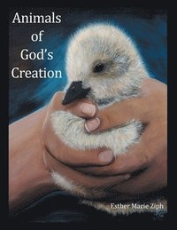 bokomslag Animals of God's Creation