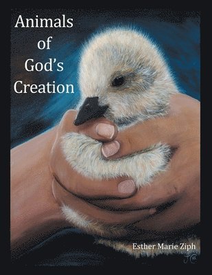 Animals of God's Creation 1