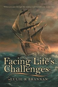 bokomslag Facing Life's Challenges