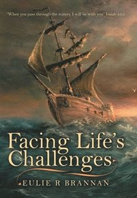 bokomslag Facing Life's Challenges