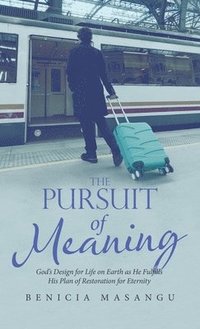 bokomslag Pursuit of Meaning