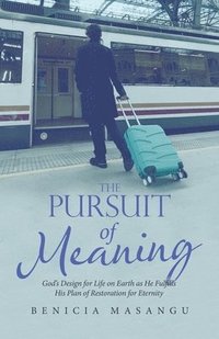 bokomslag Pursuit of Meaning