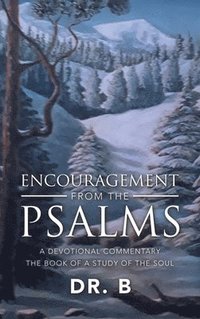 bokomslag Encouragement from the Psalms