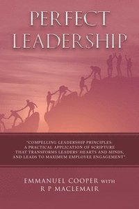 bokomslag Perfect Leadership