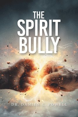 bokomslag Spirit Bully