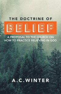 bokomslag The Doctrine of Belief