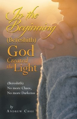 bokomslag In the Beginning (Bereshith) God Created the Light