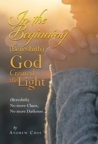 bokomslag In the Beginning (Bereshith) God Created the Light