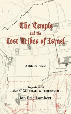 bokomslag Temple and the Lost Tribes of Israel