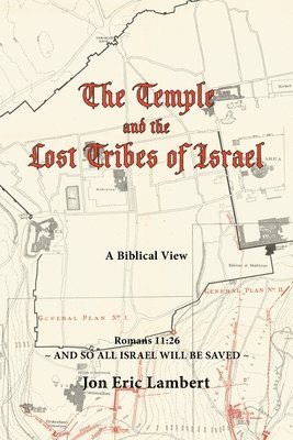 bokomslag The Temple and the Lost Tribes of Israel