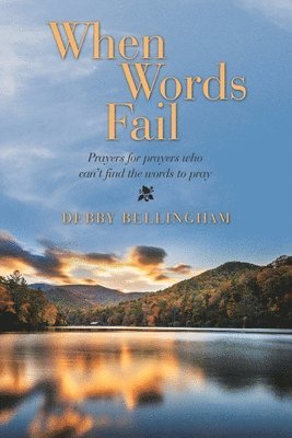 Debby Bellingham - When Words Fail, Häftad