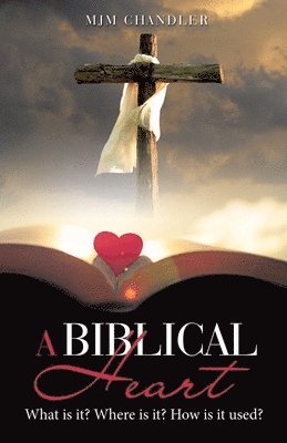 bokomslag Biblical Heart