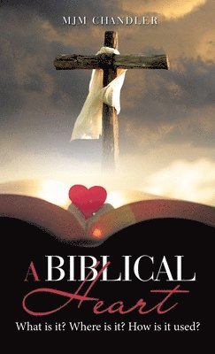 bokomslag Biblical Heart