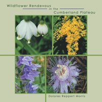 bokomslag Wildflower Rendevous in the Cumberland Plateau