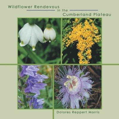 Dolores Reppert Morris - Wildflower Rendevous in the Cumberland Plateau, Häftad