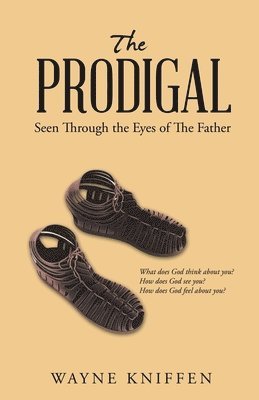 bokomslag The Prodigal