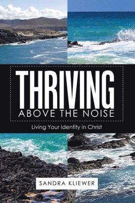 Sandra Kliewer - Thriving Above the Noise, Häftad