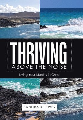 Sandra Kliewer - Thriving Above the Noise, Inbunden