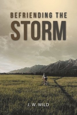bokomslag Befriending the Storm