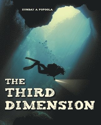 bokomslag Third Dimension