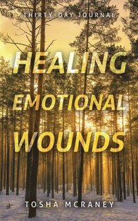 bokomslag Healing Emotional Wounds