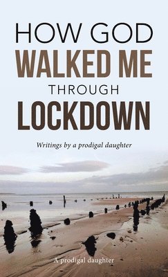 bokomslag How God Walked Me Through Lockdown