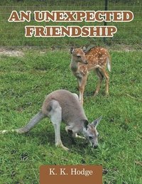 bokomslag Unexpected Friendship