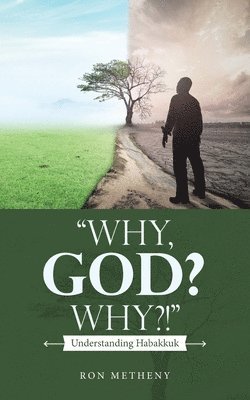 bokomslag "Why, God? Why?!"
