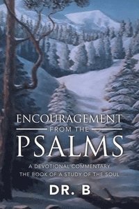 bokomslag Encouragement from the Psalms