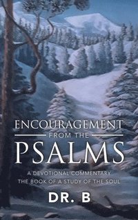 bokomslag Encouragement from the Psalms