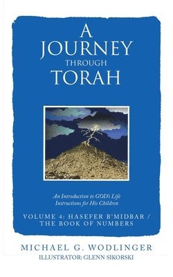 bokomslag A Journey Through Torah