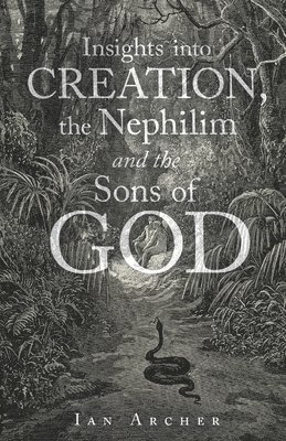 bokomslag Insights into Creation, the Nephilim and the Sons of God