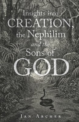 bokomslag Insights into Creation, the Nephilim and the Sons of God