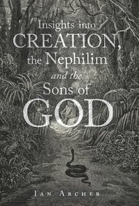 bokomslag Insights into Creation, the Nephilim and the Sons of God
