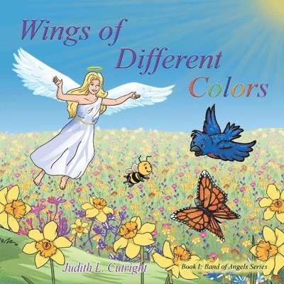 Wings of Different Colors 1