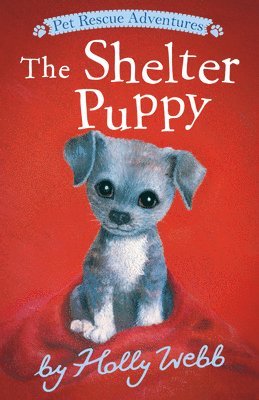 Holly Webb - The Shelter Puppy, Häftad