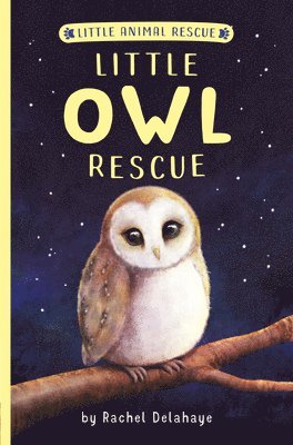 Rachel Delahaye - Little Owl Rescue, Häftad