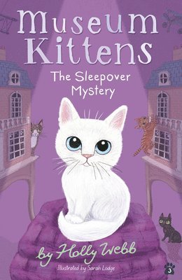 bokomslag The Sleepover Mystery