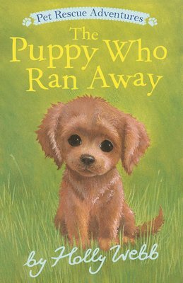 Holly Webb - The Puppy Who Ran Away, Häftad