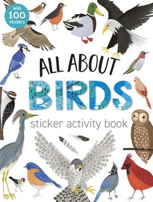 bokomslag All About Birds Sticker Activity Book