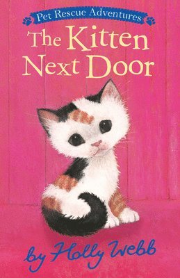 Holly Webb - The Kitten Next Door, Häftad