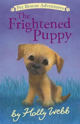 Holly Webb - The Frightened Puppy, Häftad