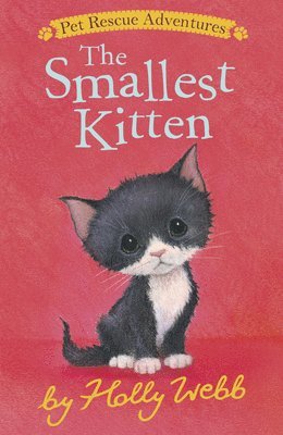 bokomslag The Smallest Kitten