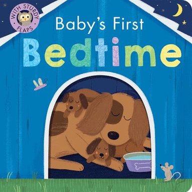 bokomslag Baby's First Bedtime